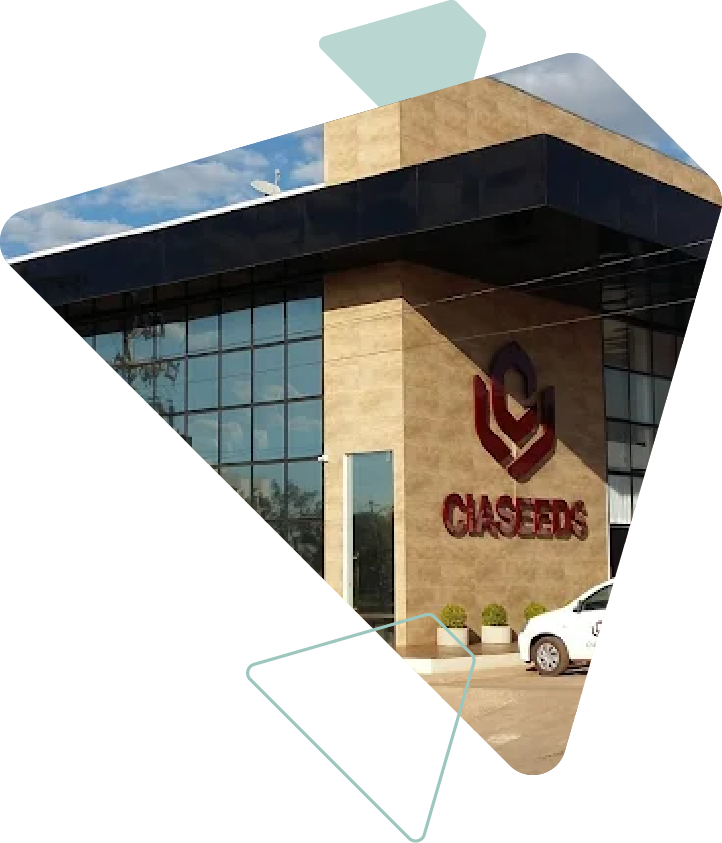 Eu sou uma imagem Eu sou uma imagem