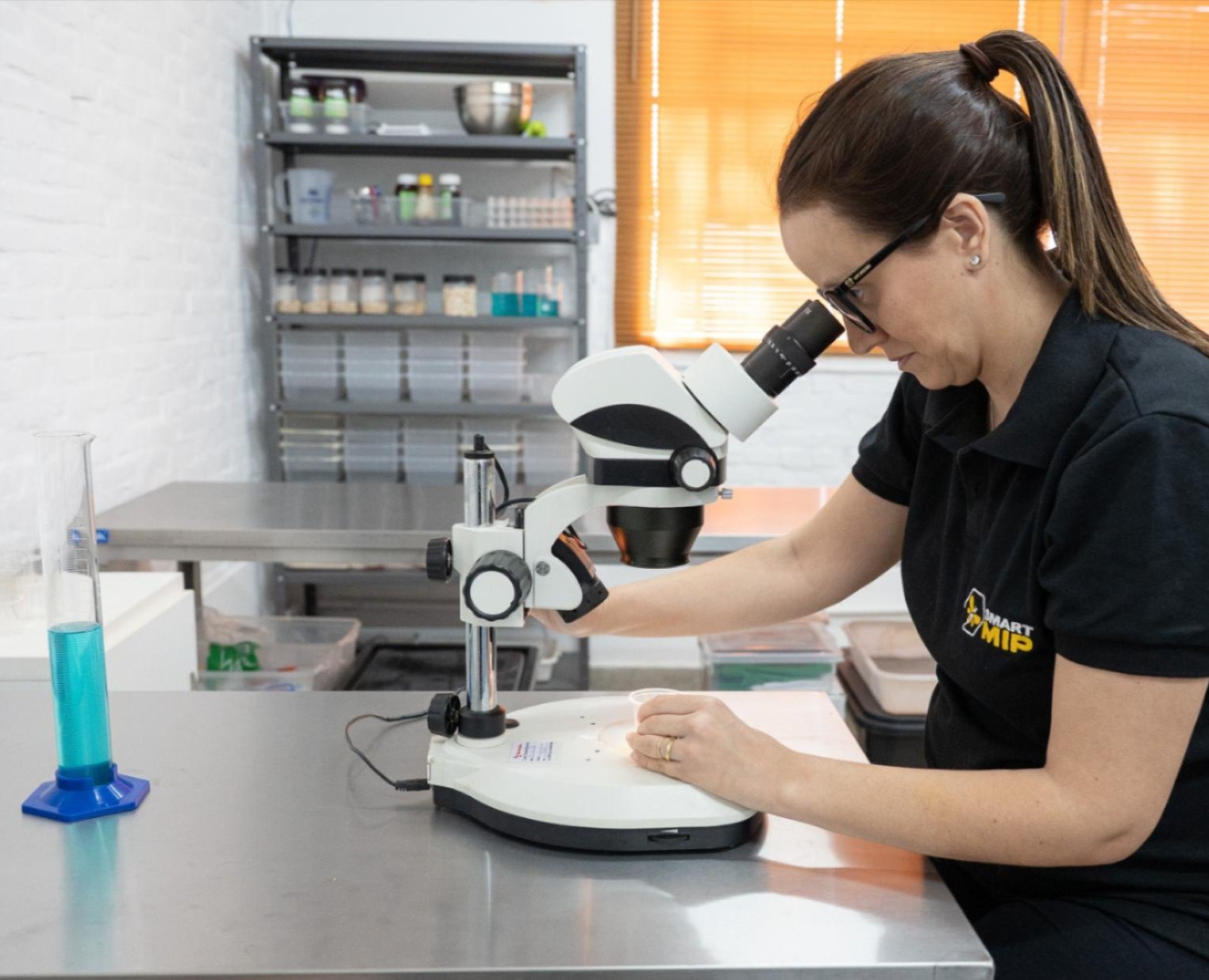 Eu sou uma imagem Eu sou uma imagem