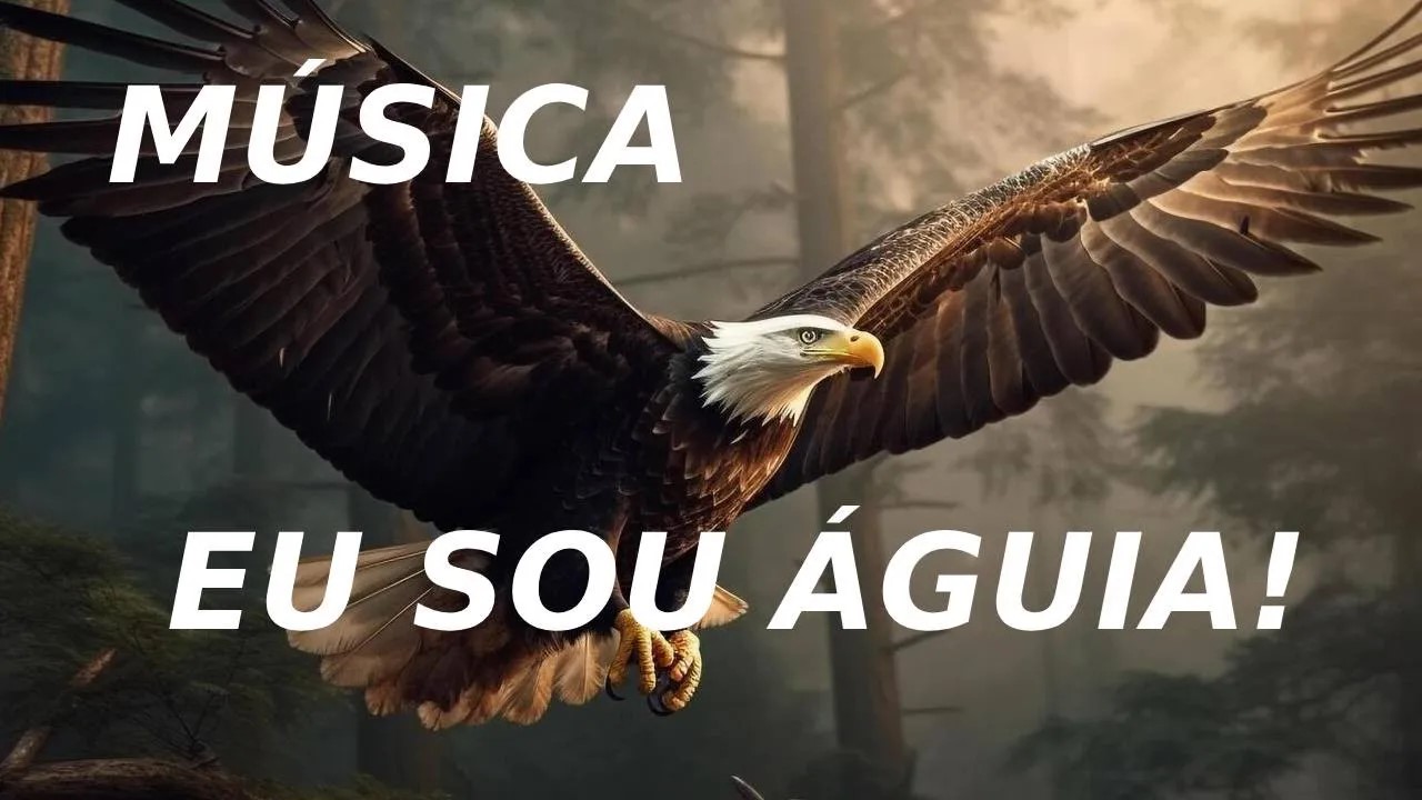 Eu sou uma imagem