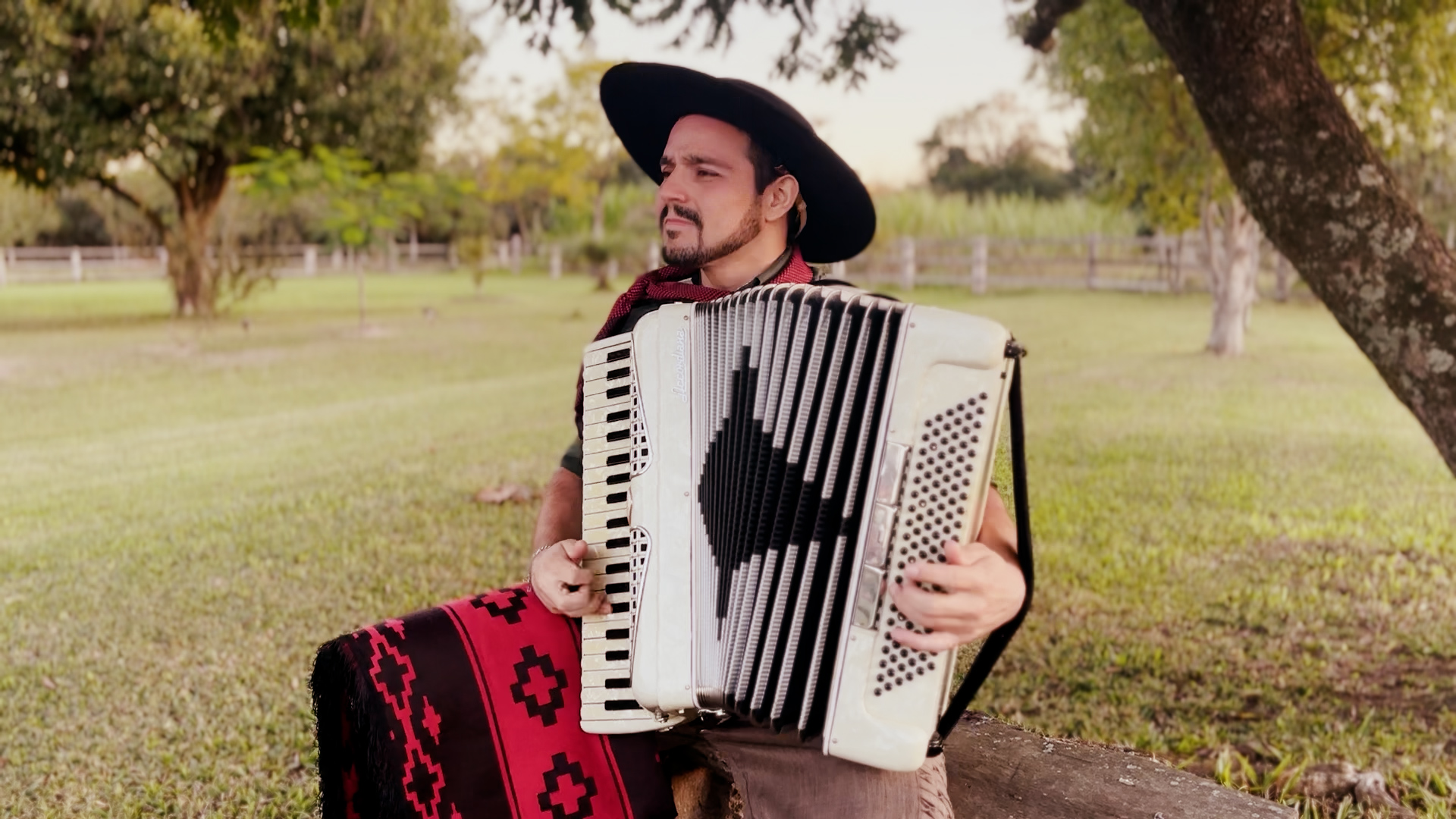 Professor Cesar Filho