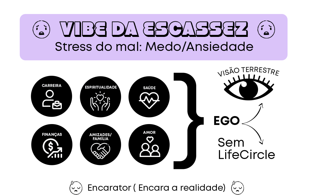 lei-da-atração-curso-prosperidade-vibe