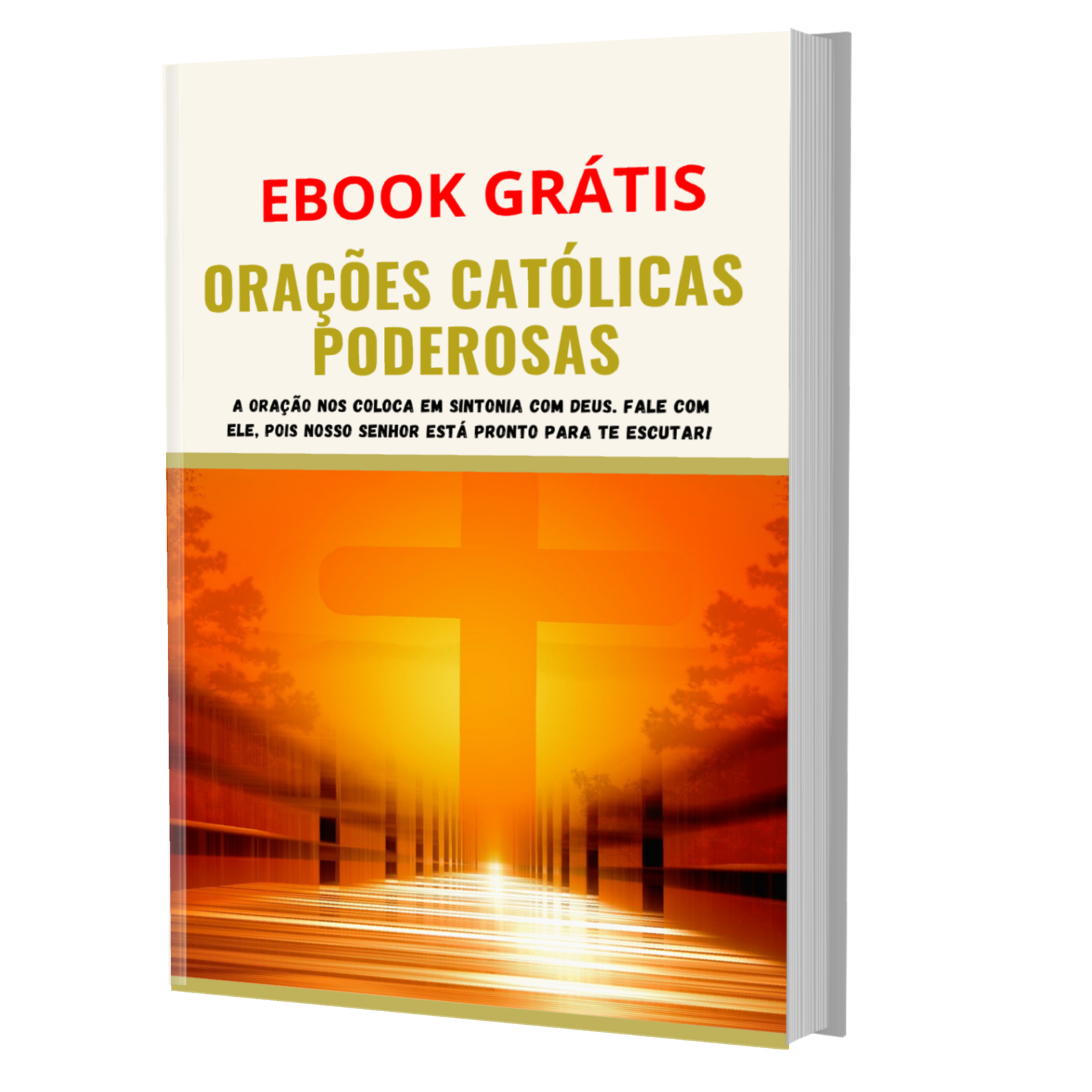 Texto alternativo