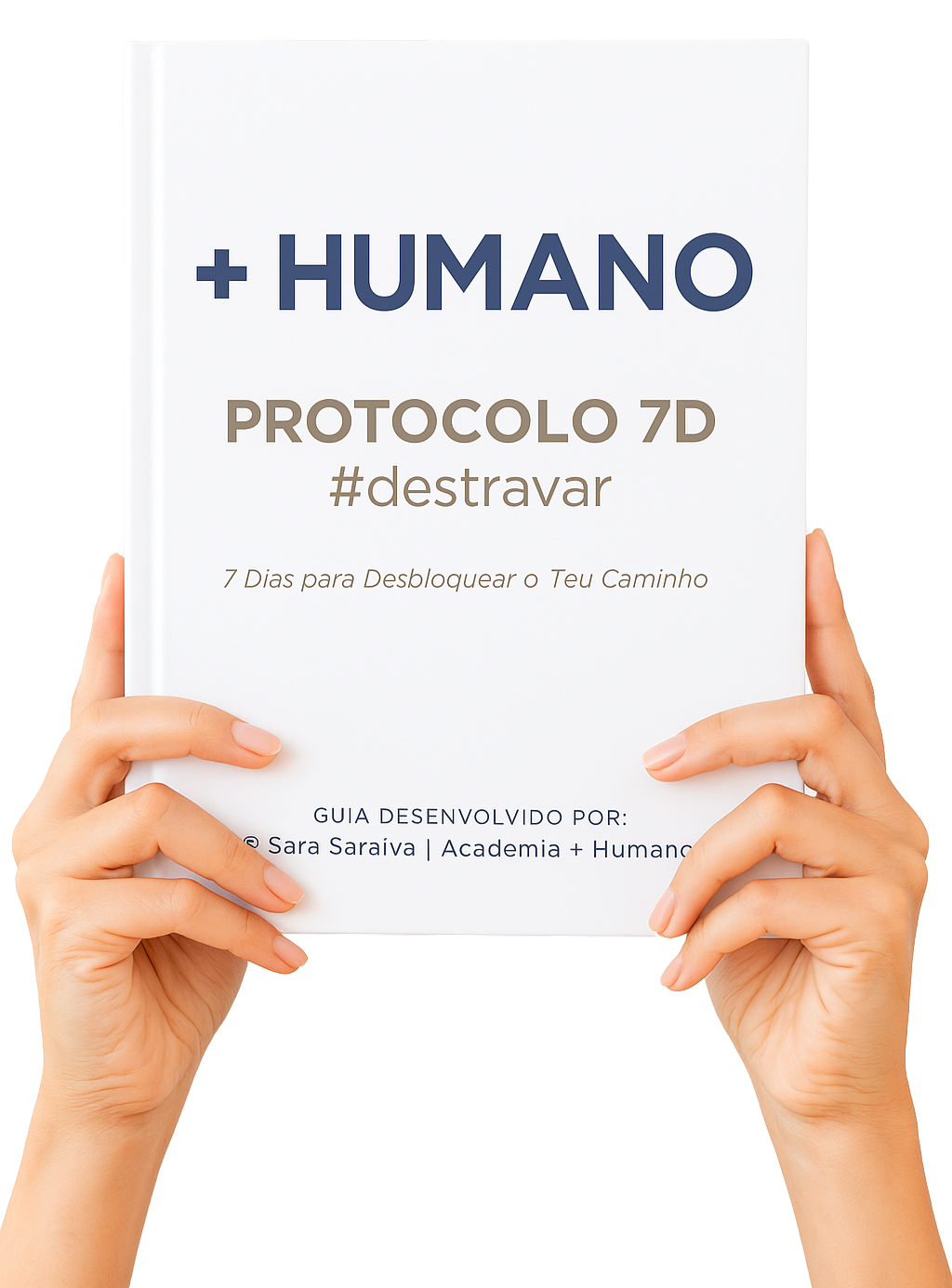 Texto alternativo