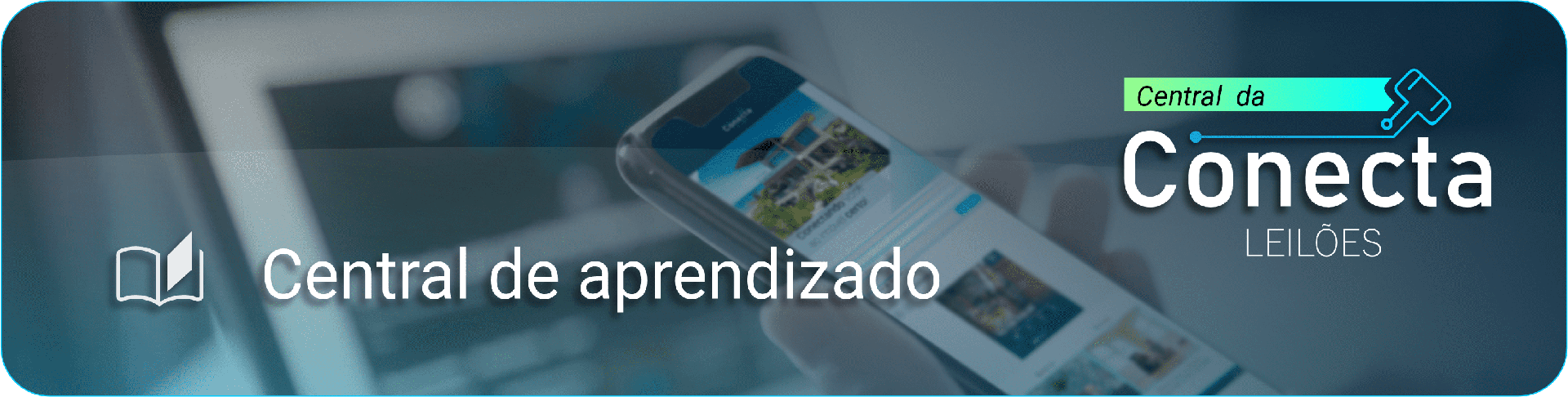 Tudo que você precisa saber sobre Leilões!
