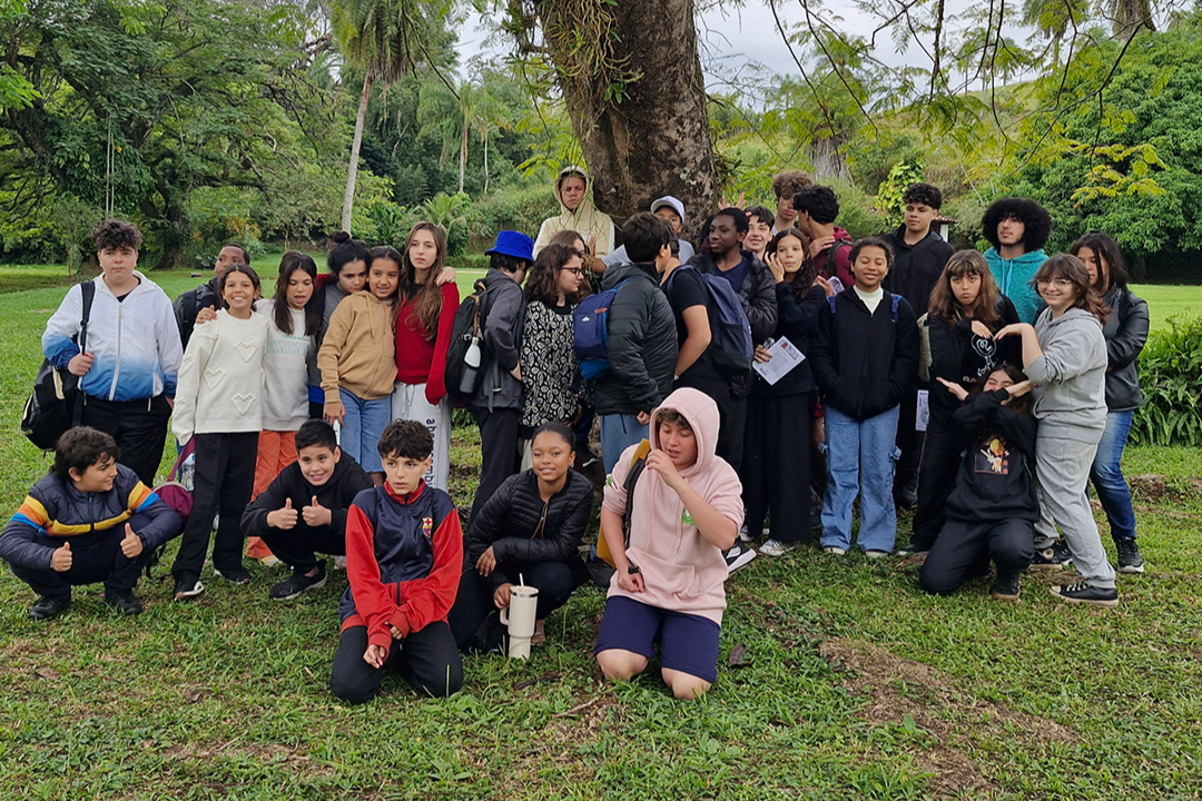 Eu sou uma imagem Eu sou uma imagem