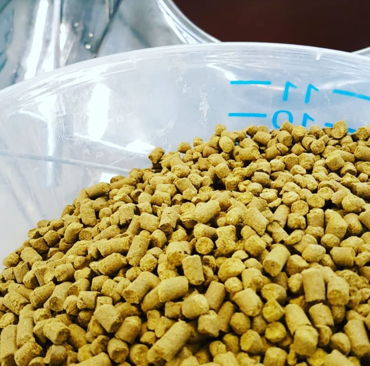 Eu sou uma imagem Eu sou uma imagem