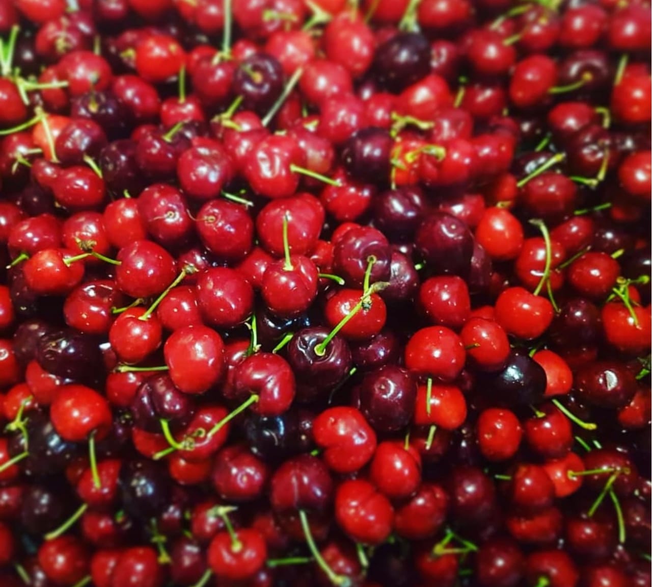 Eu sou uma imagem Eu sou uma imagem