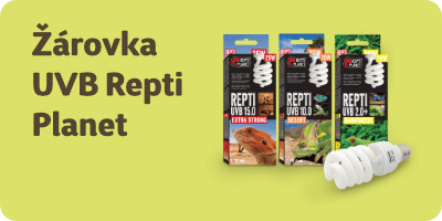 Výhodné ceny UVB žárovek Repti Planet