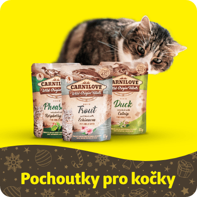 NOVINKY - kapsičky a konzervy pro kočky