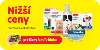 Vyberte si antiparazitika pro psy i kočky