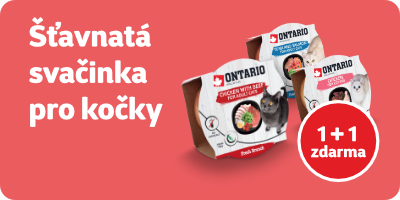Ontario Fresh Brunch 1+1 ZDARMA