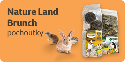 Nature Land Brunch - pochoutky