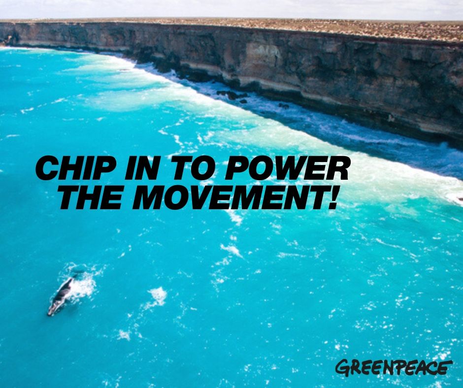 Chip in to power our movement