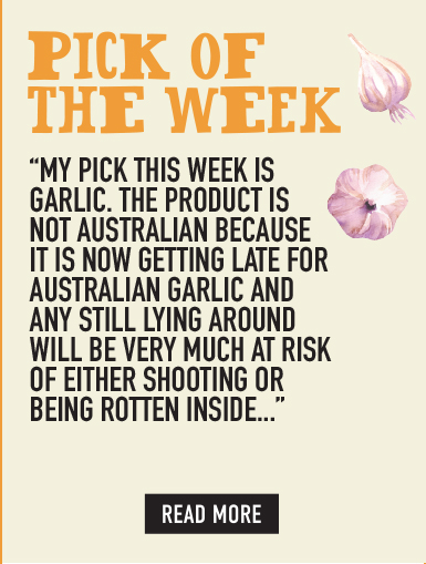 Dave's Pick of the Week