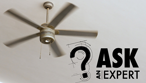 Ask an Expert - Ceiling fan is blurred and running