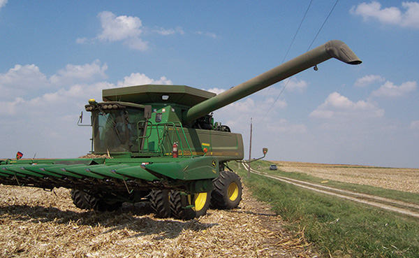 Combine harvesting field of corn near power line.