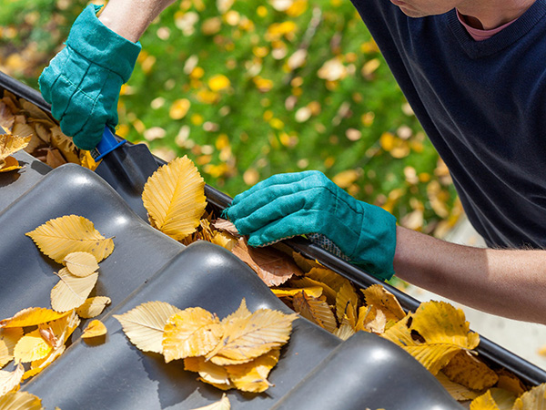 Person wearing teal gloves and cleaning leaves out of gutters.