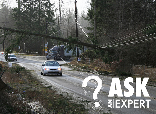 Downed powerlines with tree on wires near roadway image with text Ask an Expert