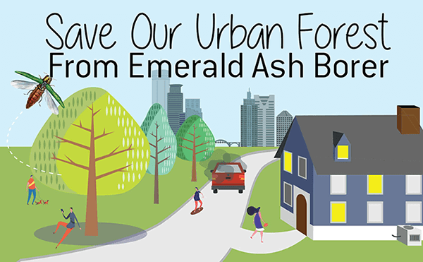 Protect Your Trees from EAB