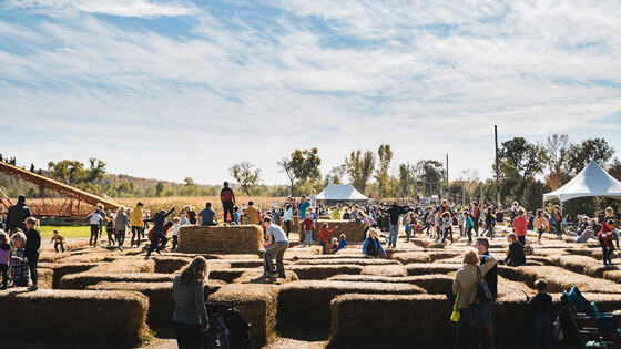 Straw Maze