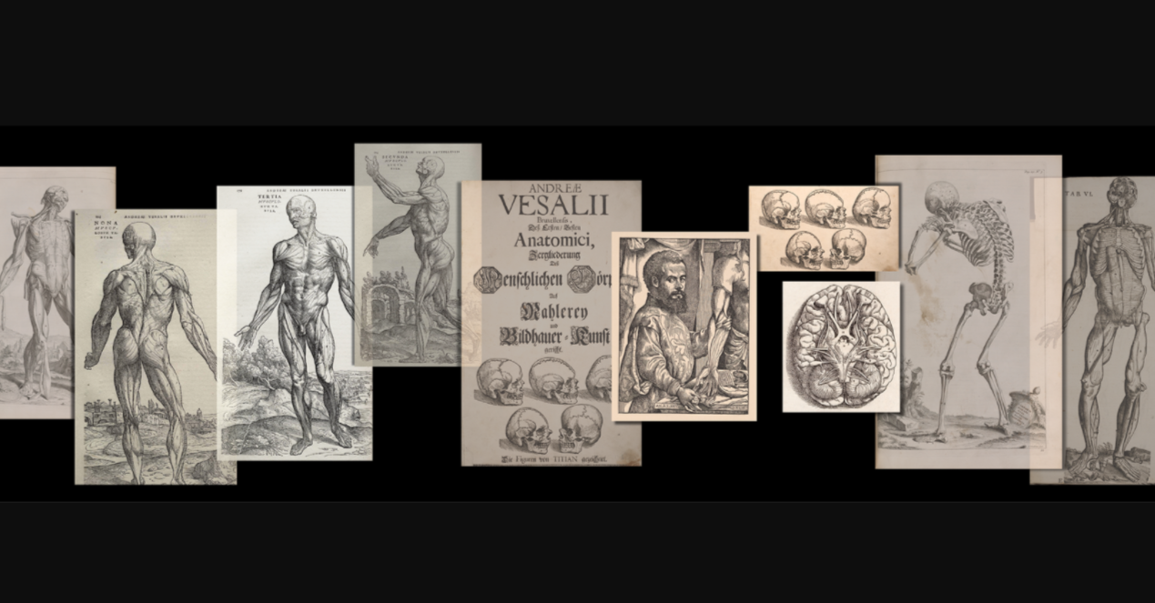 Various pictures of Vesalius collection