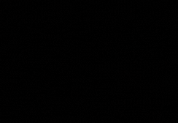 Black Friday Offer 2022