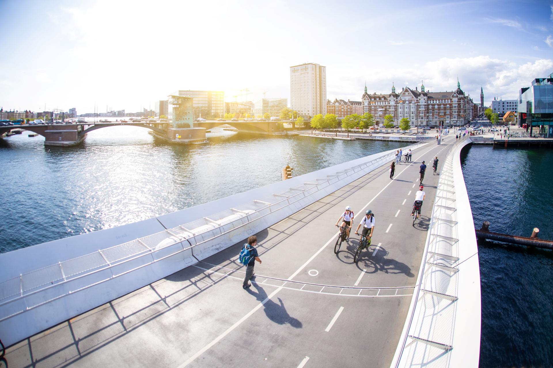 Scotty shredding with his Genius ST