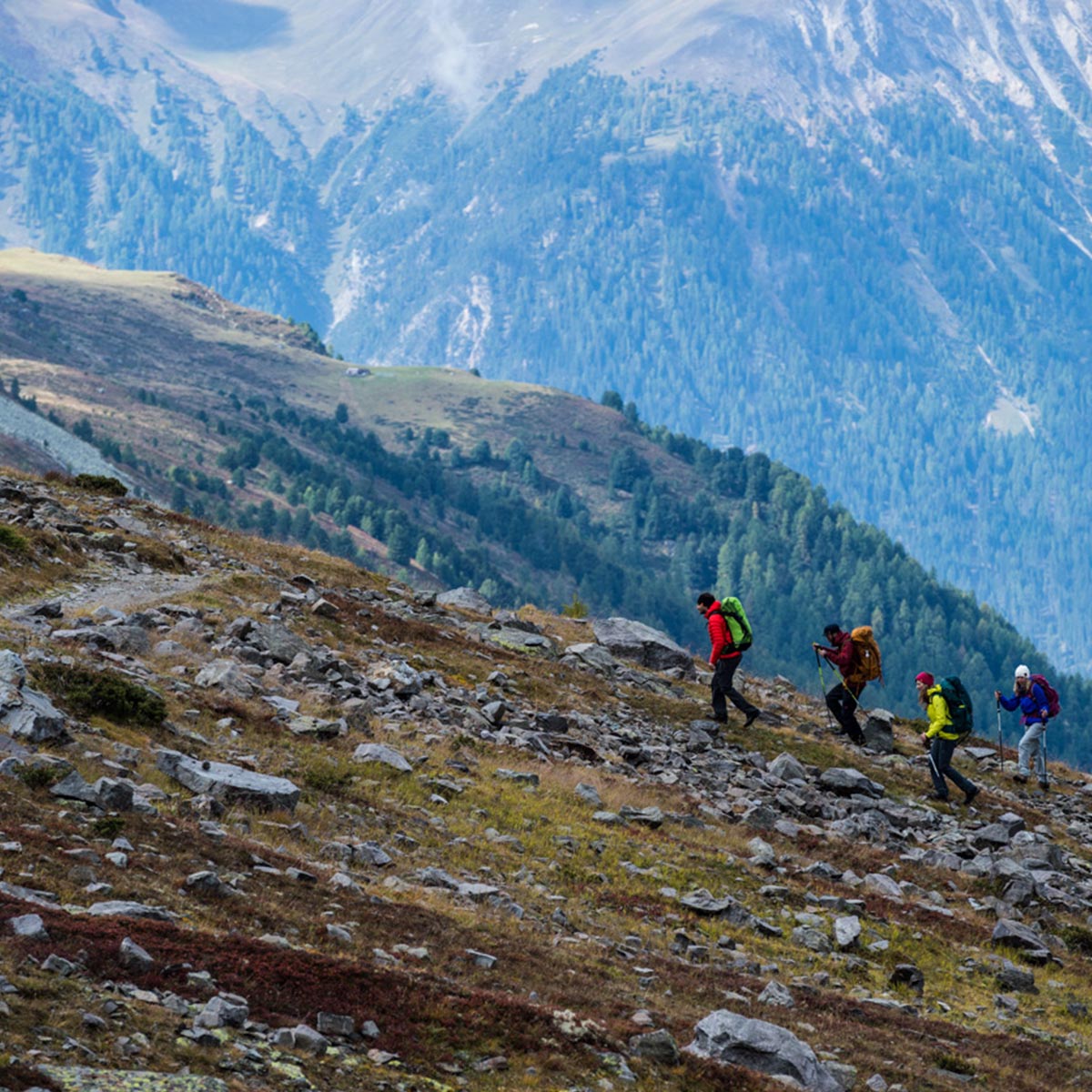Vier Wander:innen beim Aufstieg, im Hintergrund Wald und Berge