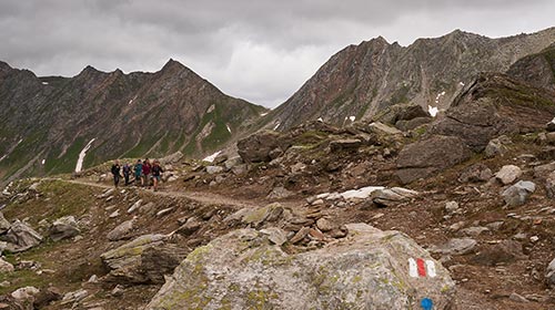 Fünf Personen wandern auf einem Wanderweg, im Hintergrund felsige Gipfel