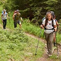 Vier Personen wandern im Wald