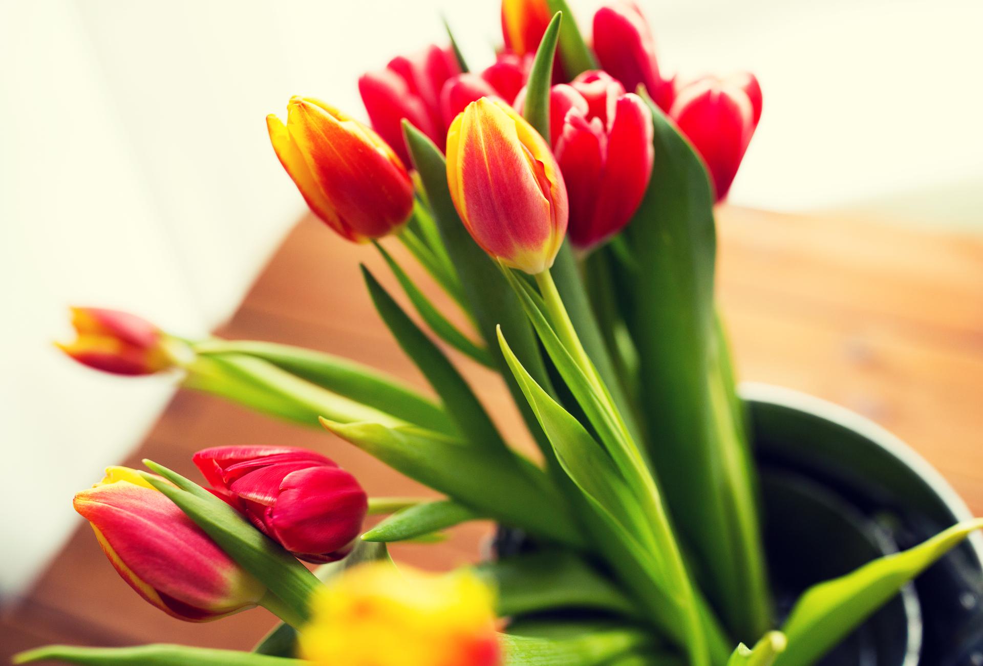 Best Easter Flower Baskets & Gifts Delivery in 2022 