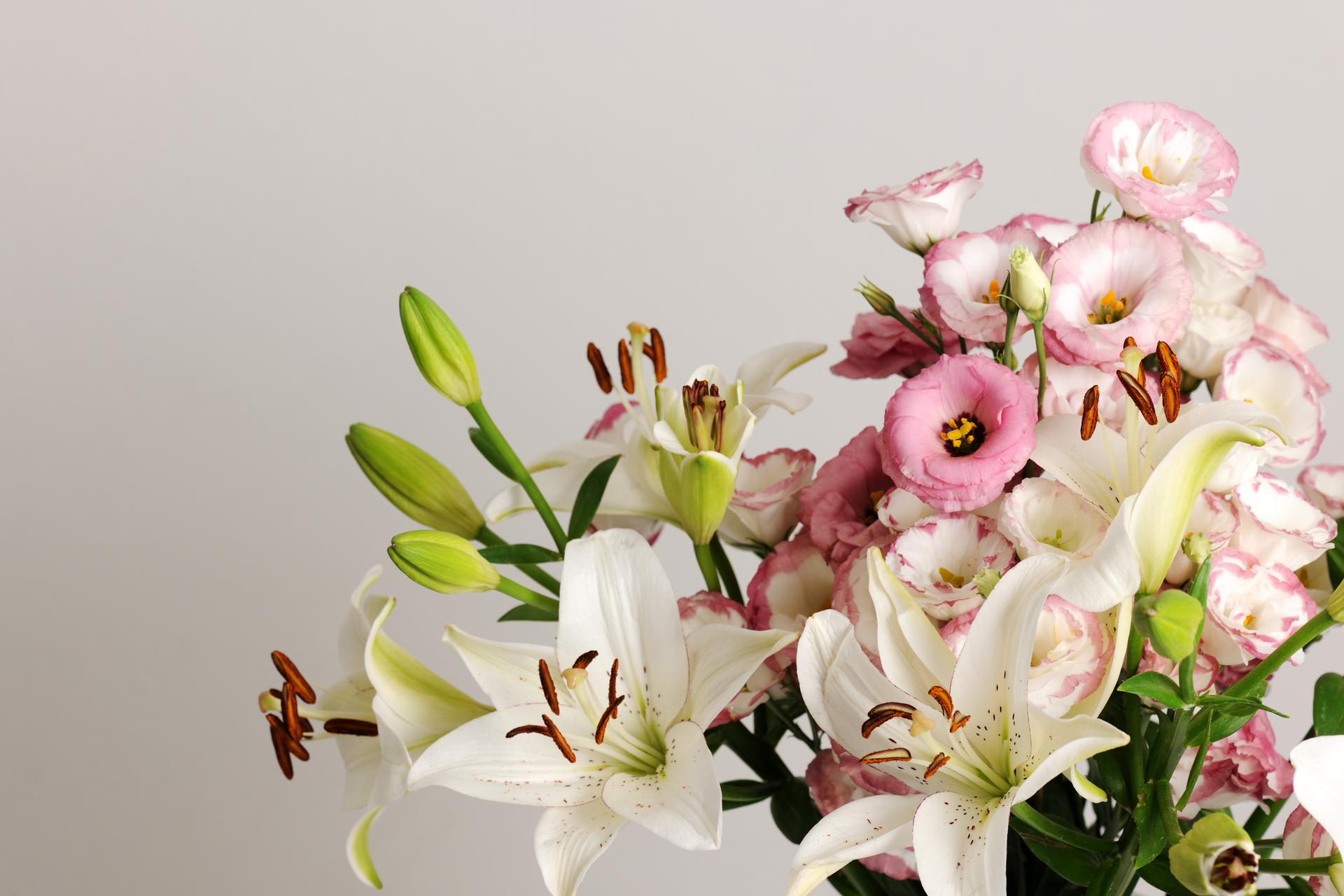 Order Flowers Online USA, Same Day Delivery