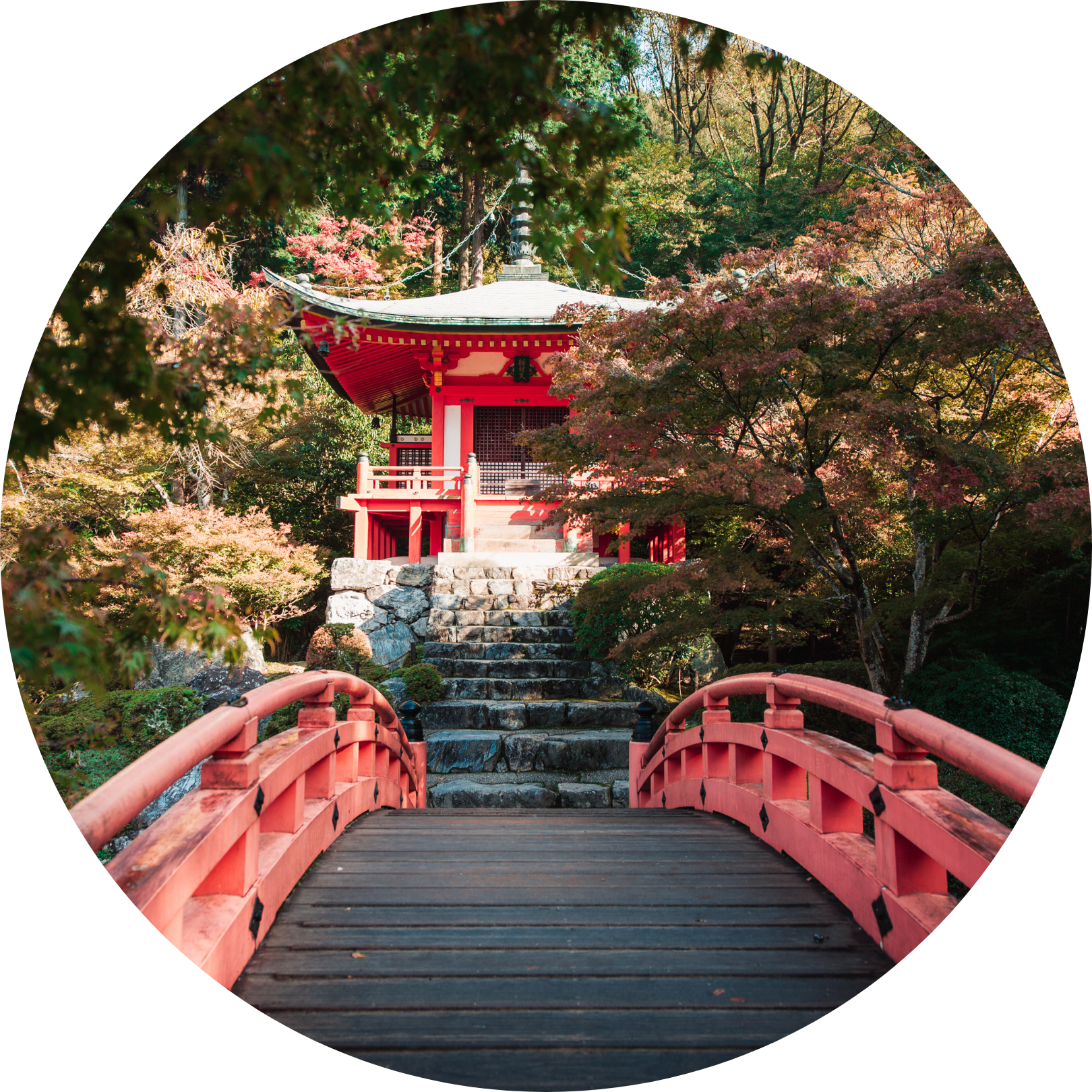 Insider's Japan
