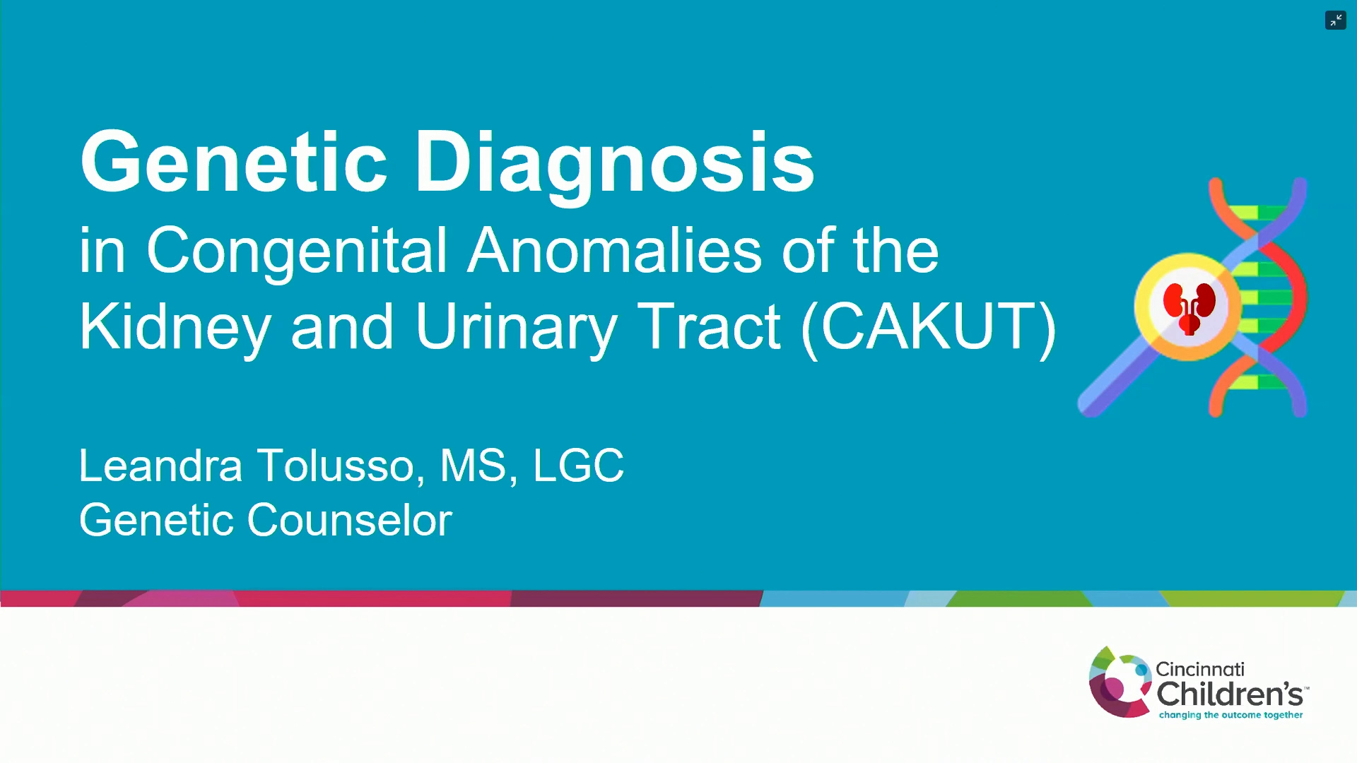 Genetic Diagnosis in Congenital Anomalies of the Kidney and Urinary Tract (CAKUT)