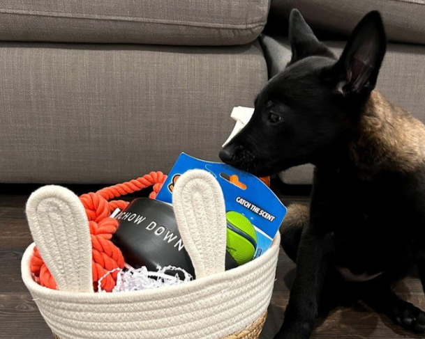 Petmate - 4.0% Donation