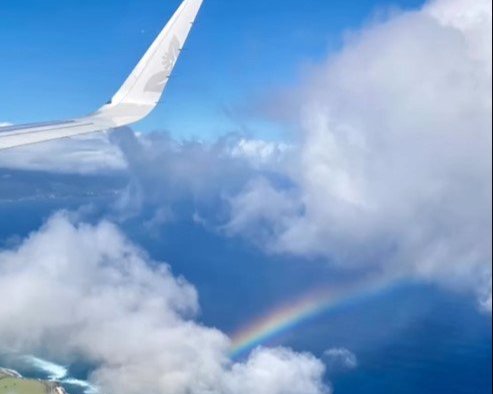 Hawaiian Airlines - 0.6% Donation