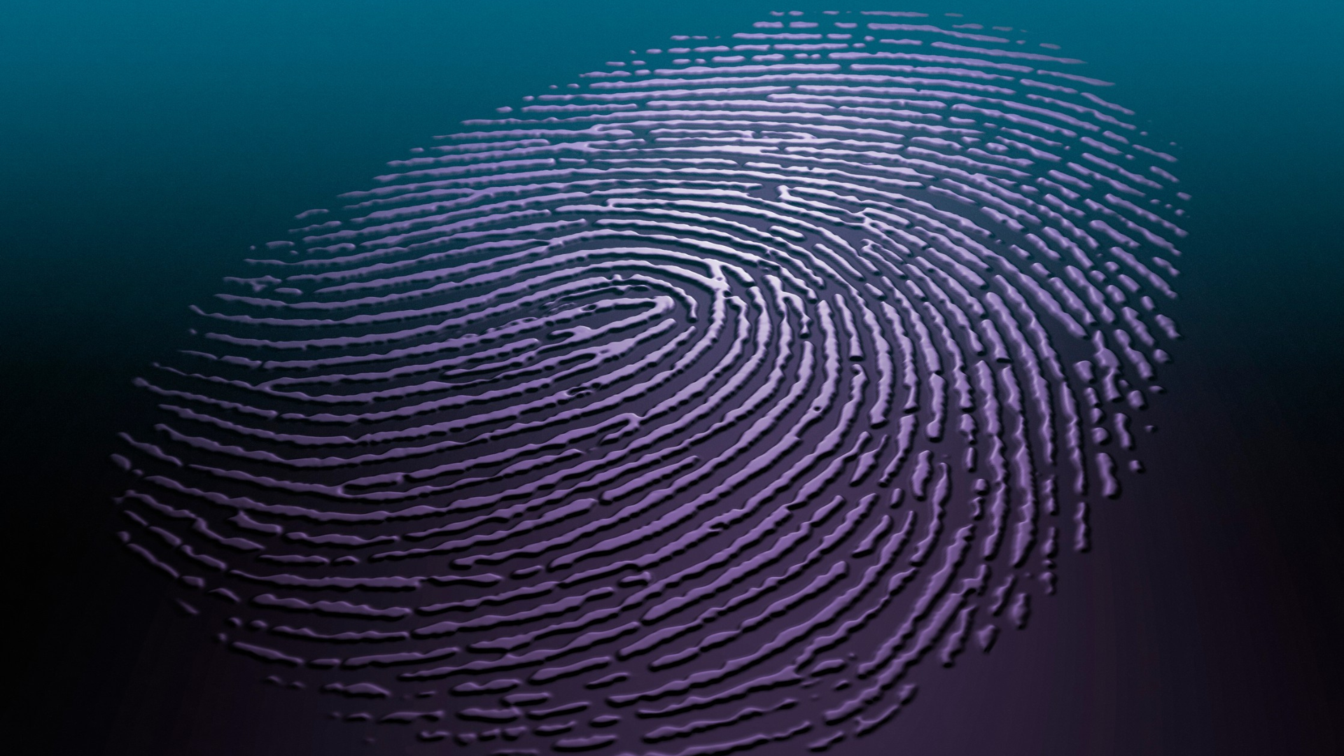 - Fingerprints in EU Identity Cards: Green Light from the AG - 