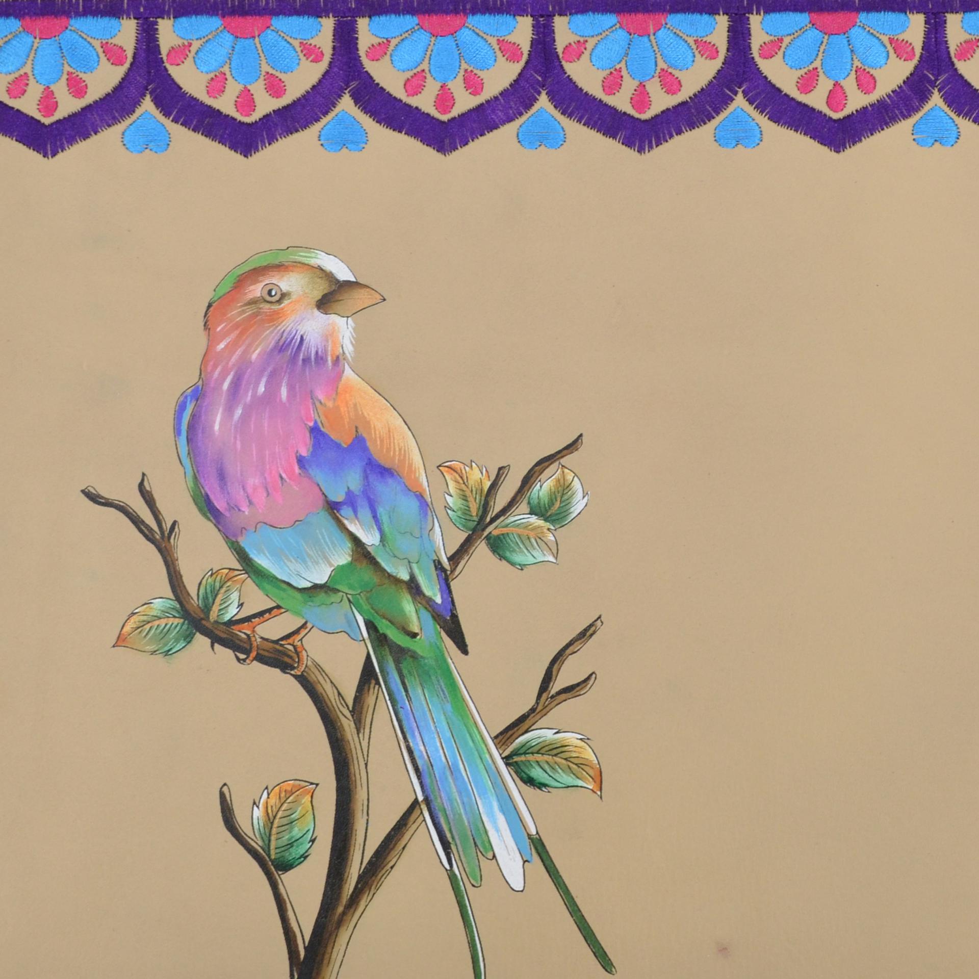 Bird, Hummingbird