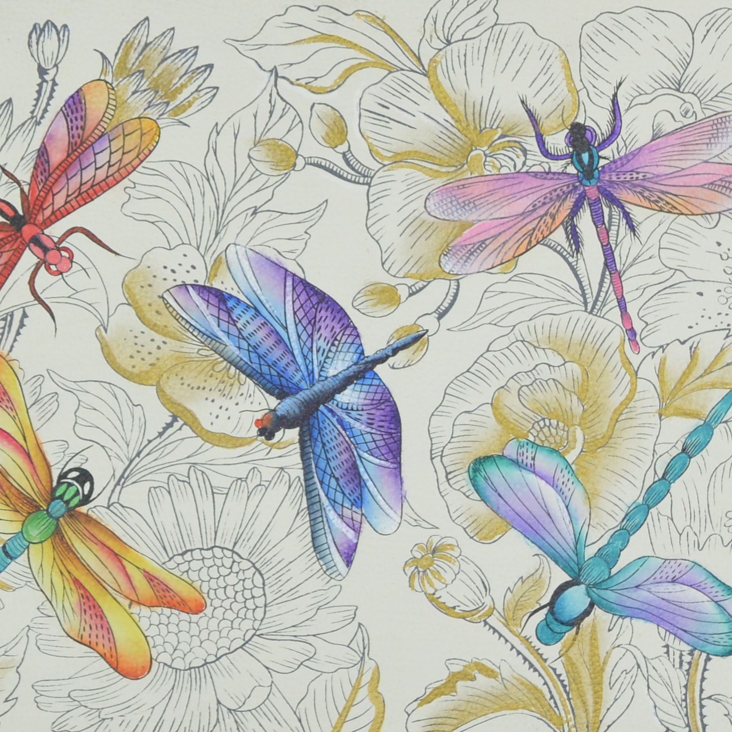 Dragonfly