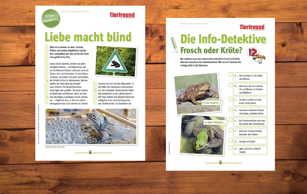 Kostenloses Arbeitsblatt: Krötenwanderung