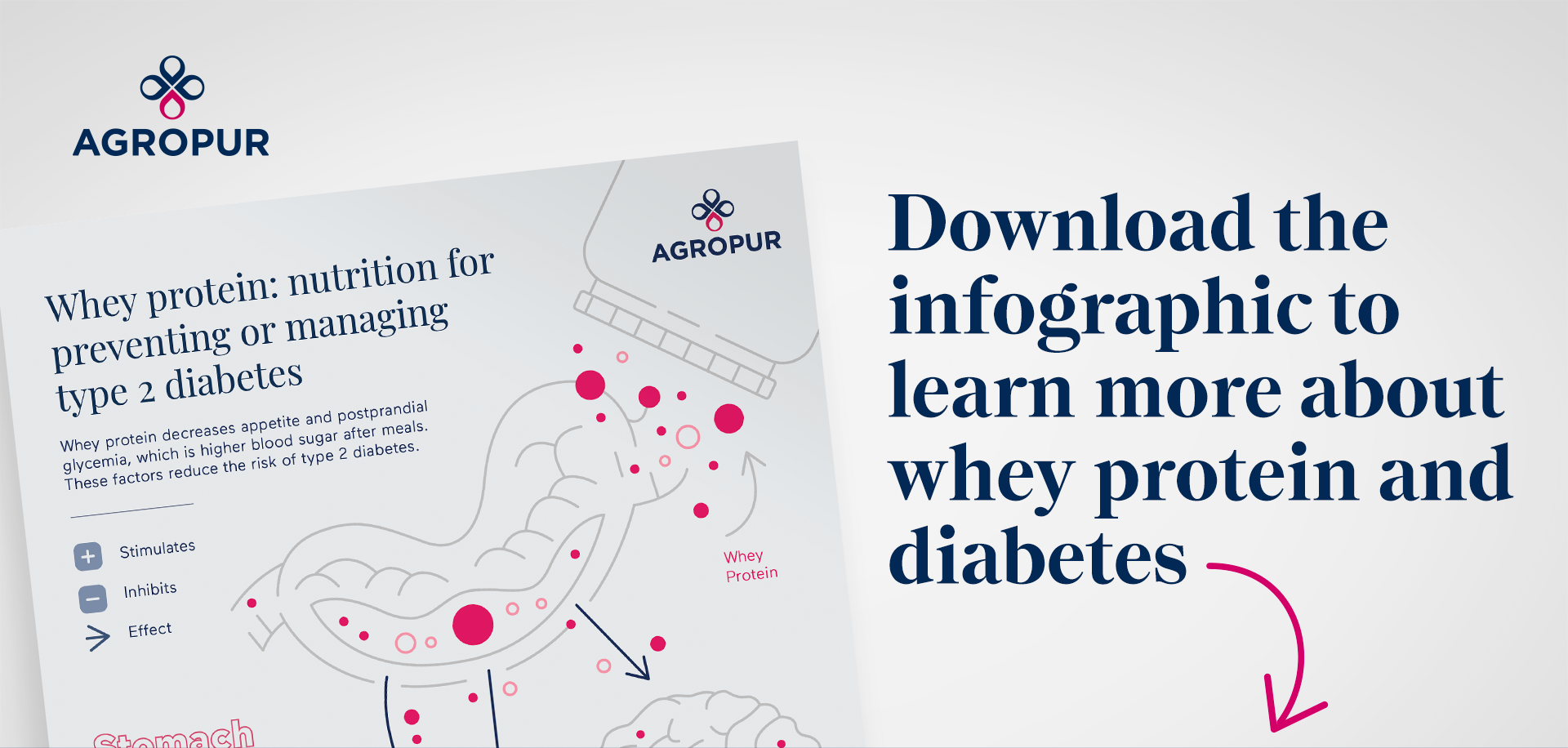 Baixe o infográfico para saber mais sobre whey protein e diabetes