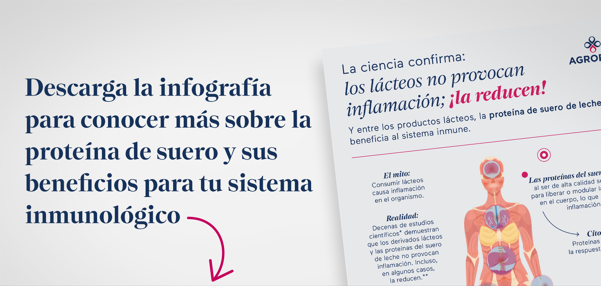 Baixe o infográfico para saber mais sobre whey protein e diabetes