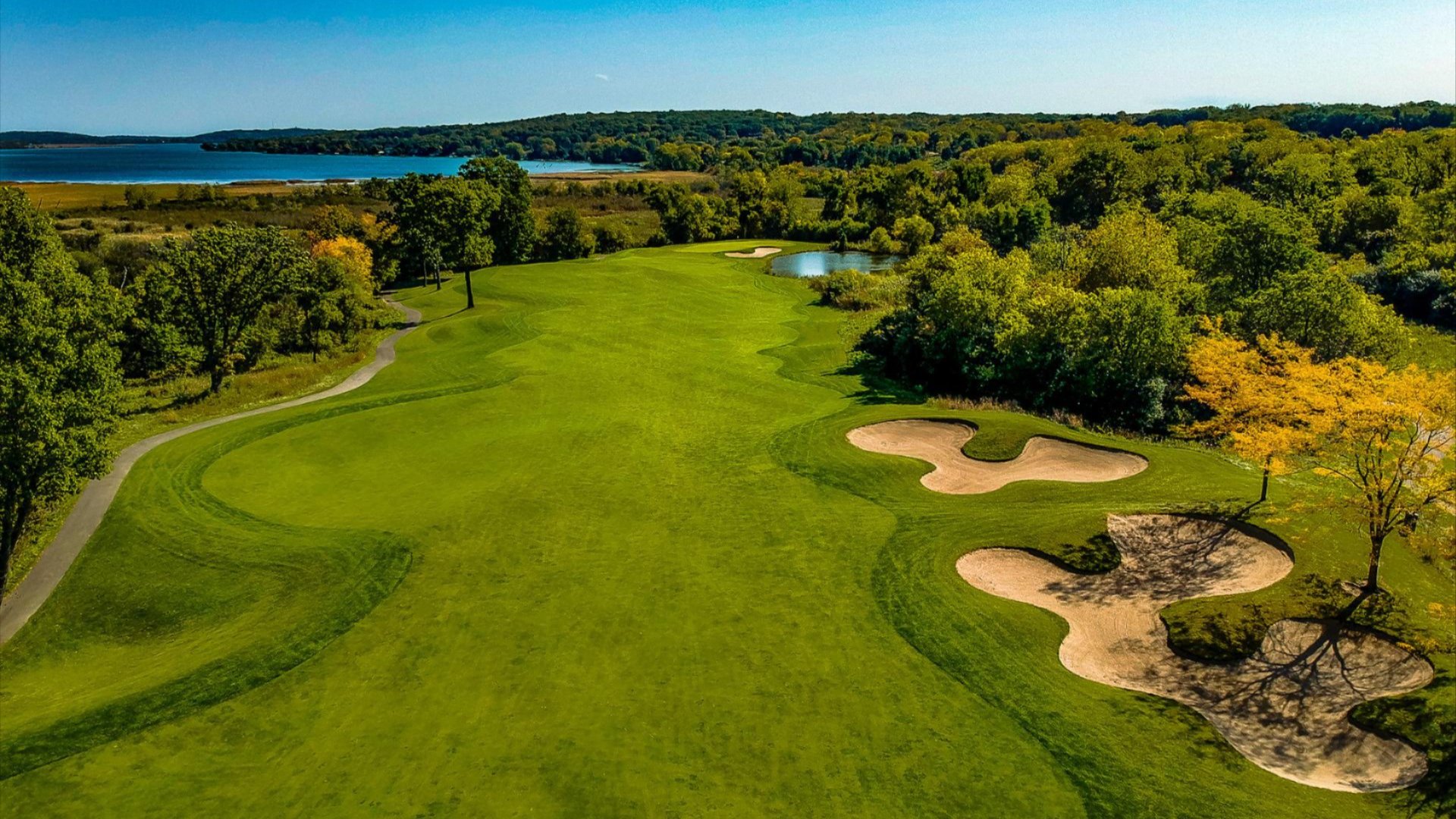 Chief Operating Officer