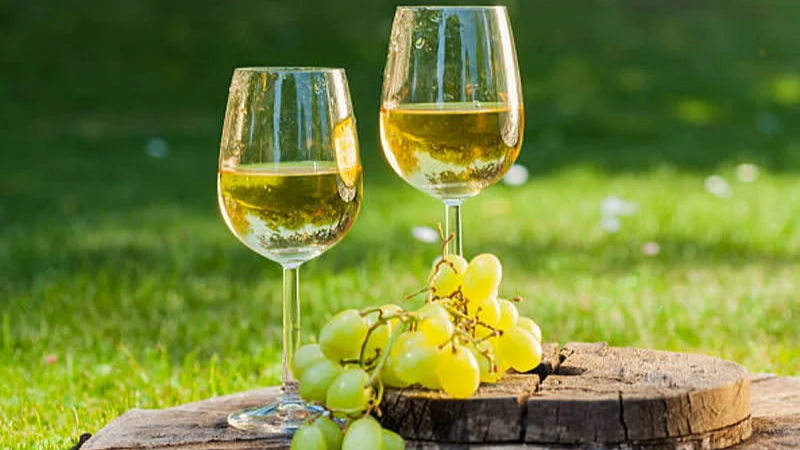 Wine Event