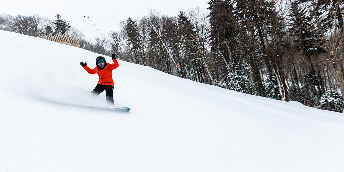 Flowers on the Killington Resort Mountainside