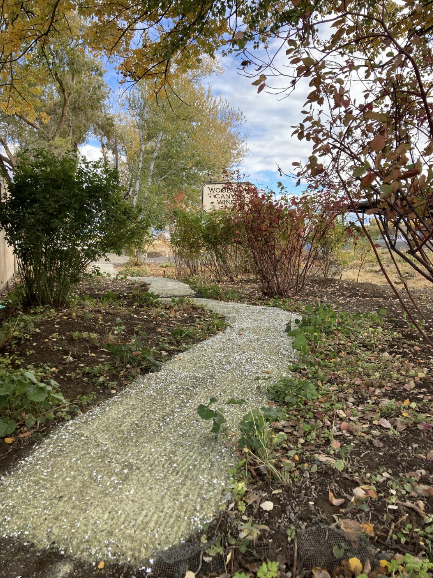 A recycled glass path at Woodward Canyon winery