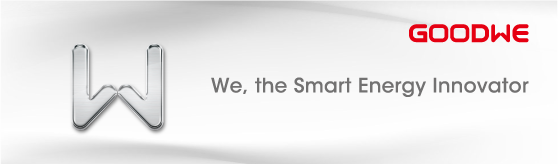 We, The smart energy innovator