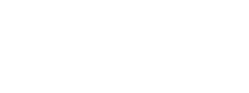 BEE Pro