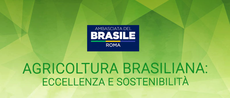 Agricoltura Brasiliana: Eccellenza e Sostenibilità