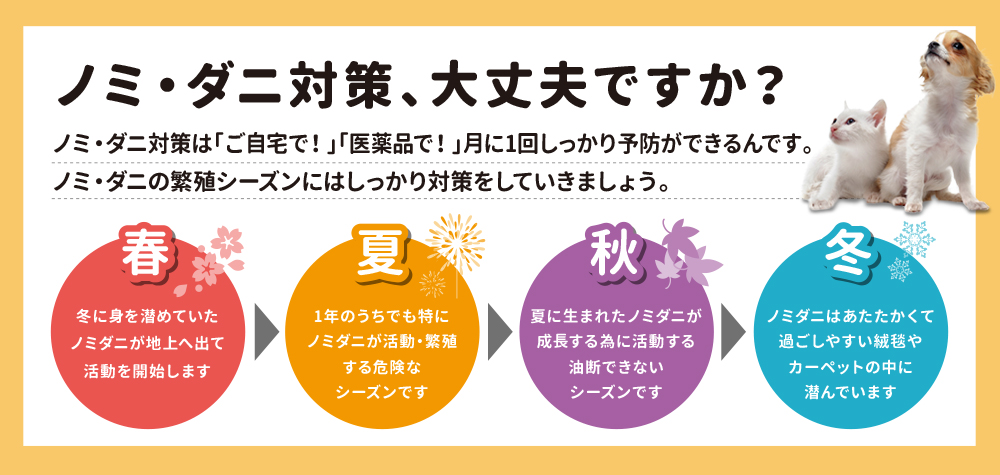 ノミ ダニ対策の疑問解決 ペットの理想をカタチに 高品質 自然派 動物病院推奨のペット用品ショップ greedy